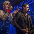 Click to enlarge GutterPunk - Professional Concert Photography